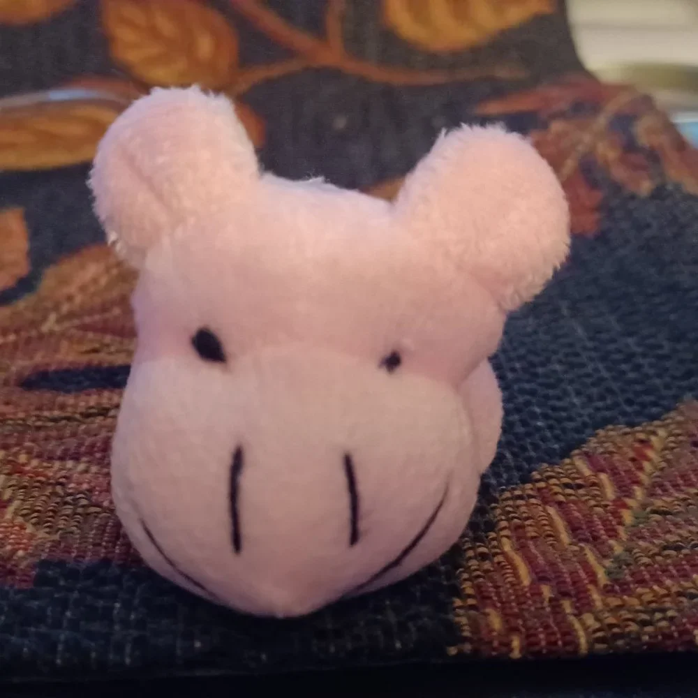 New Vintage Icon Eyewear Kids Eyeglasses buddy / Pal Pink Hippo Fit All Glasses